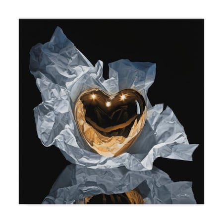 TRADEMARK FINE ART Francois Chartier 'Heart Of Gold' Canvas Art, 24x24 ALI34674-C2424GG